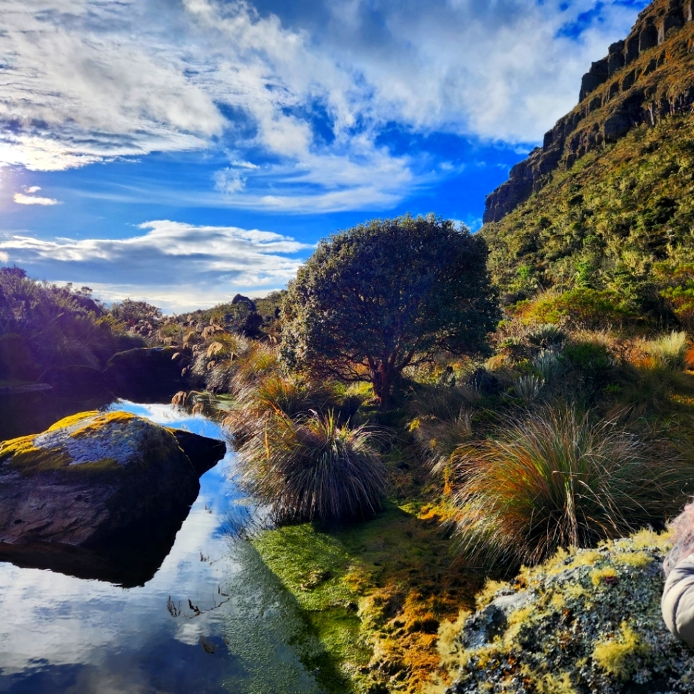 Meet your Posher, CF.